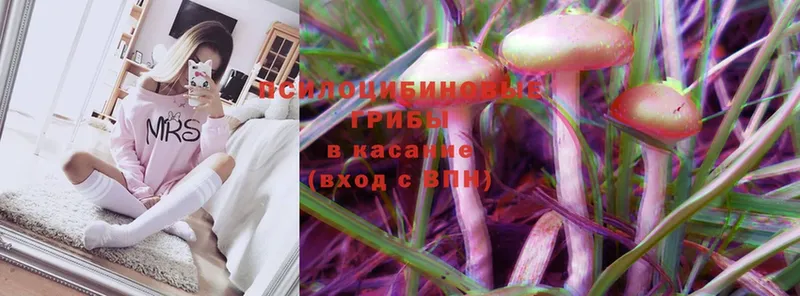 omg   Данков  Галлюциногенные грибы MAGIC MUSHROOMS 